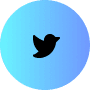 twitter icon